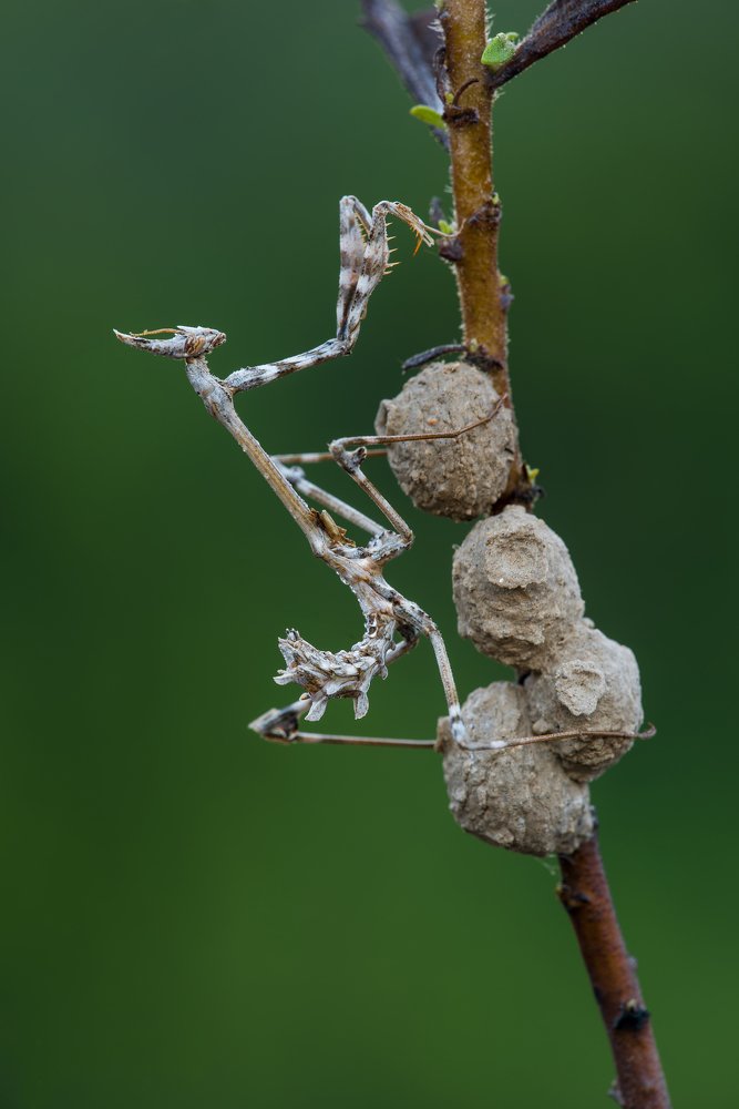 Photograph by Игорь ФУММ