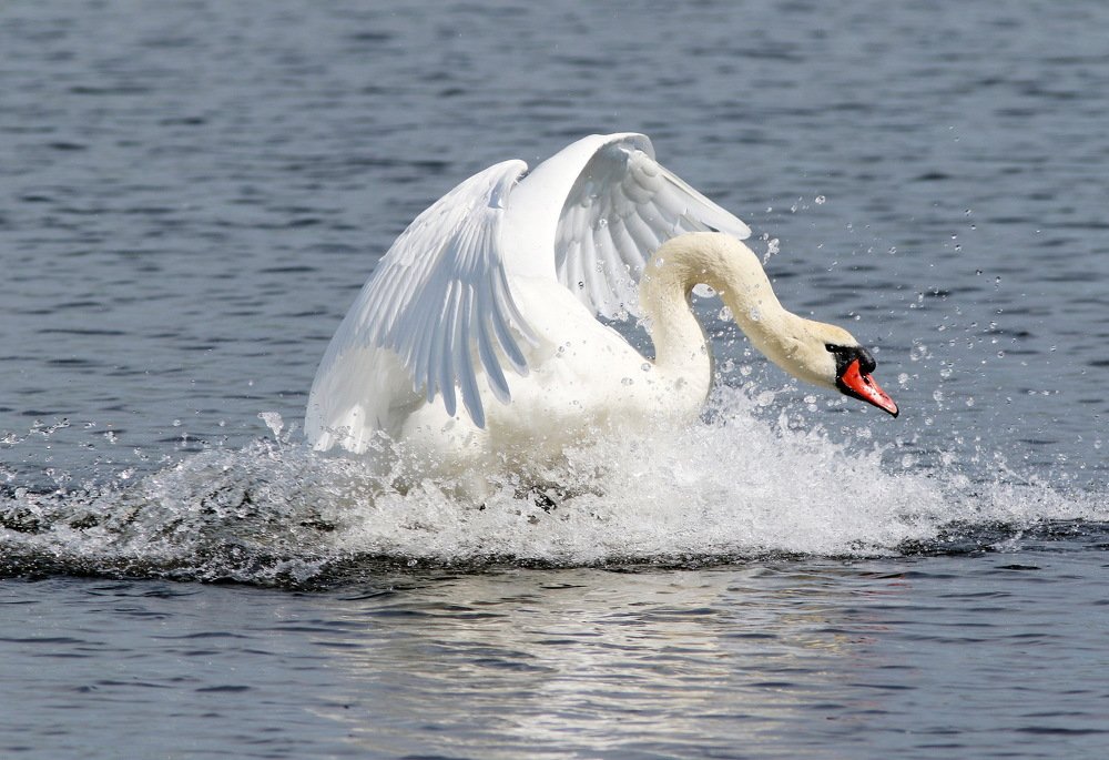 Мягкое приземление