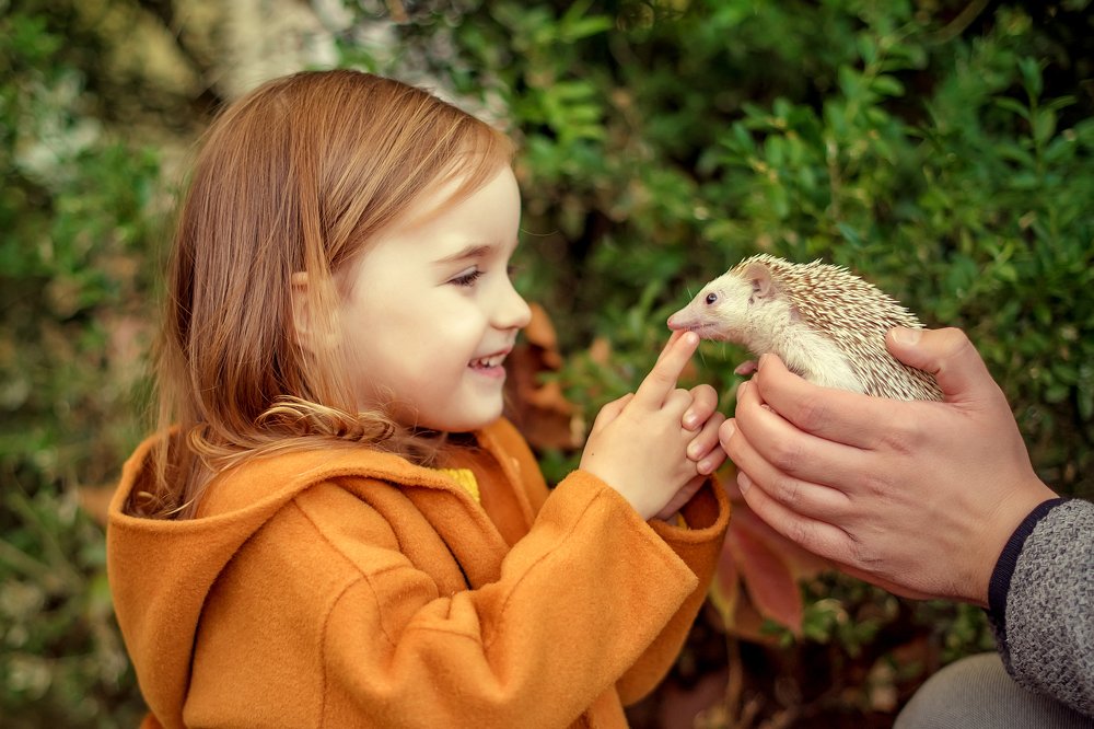 Photograph by Юлия Гусева