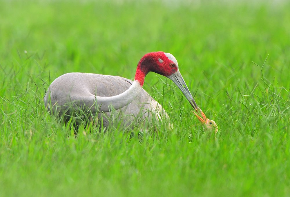 Photograph by Sanjay Solanki