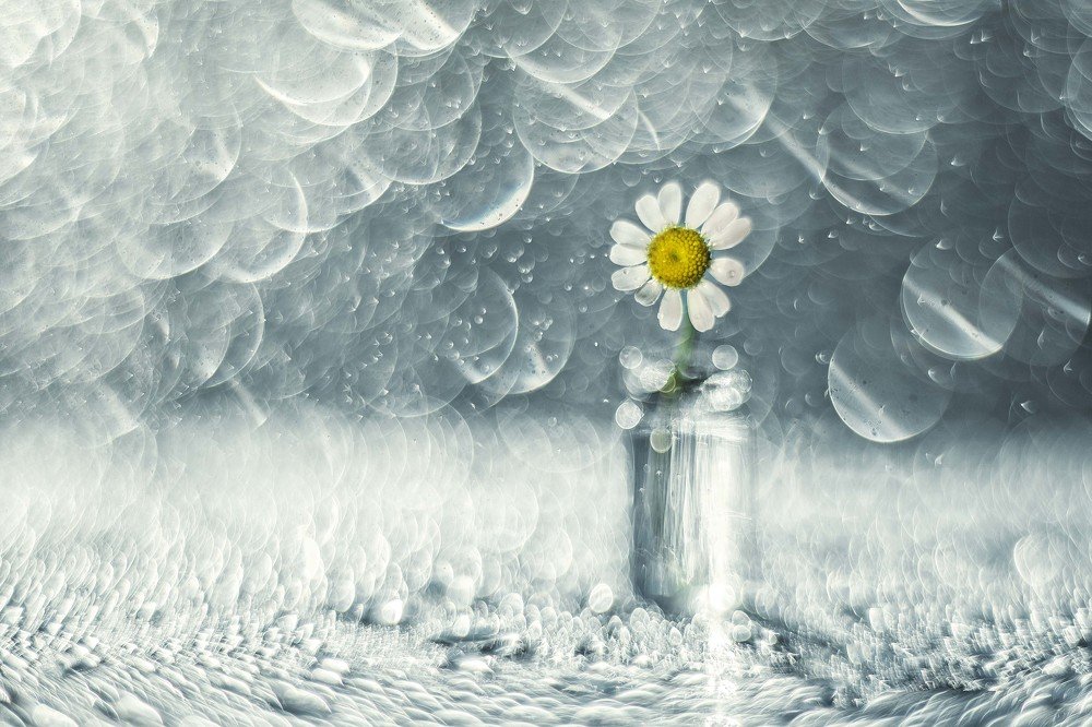 Photograph by Нурият Аллаярова