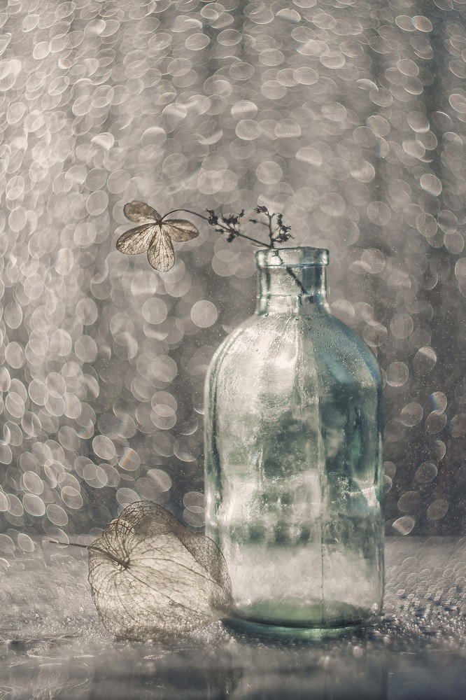 Photograph by Нурият Аллаярова