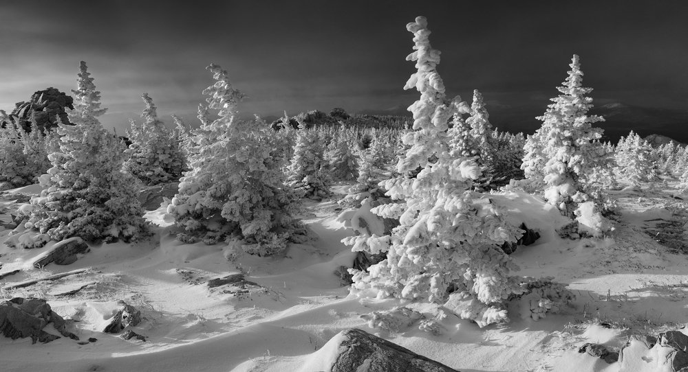 Photograph by Татьяна Бирюкова