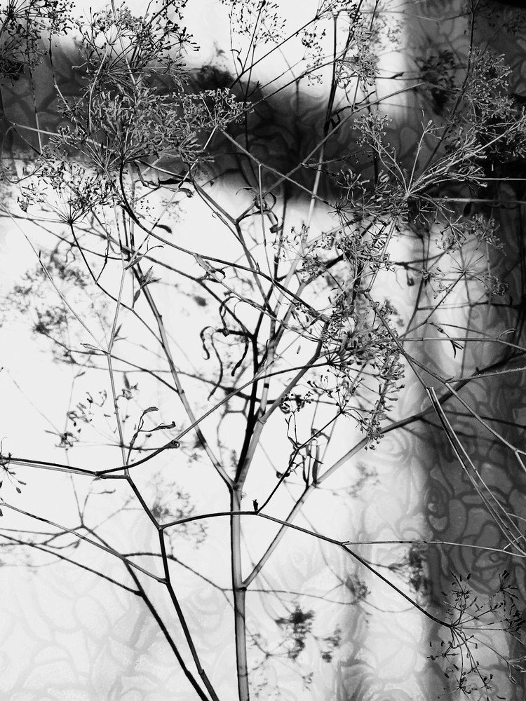 Photograph by Karina Yakovleva