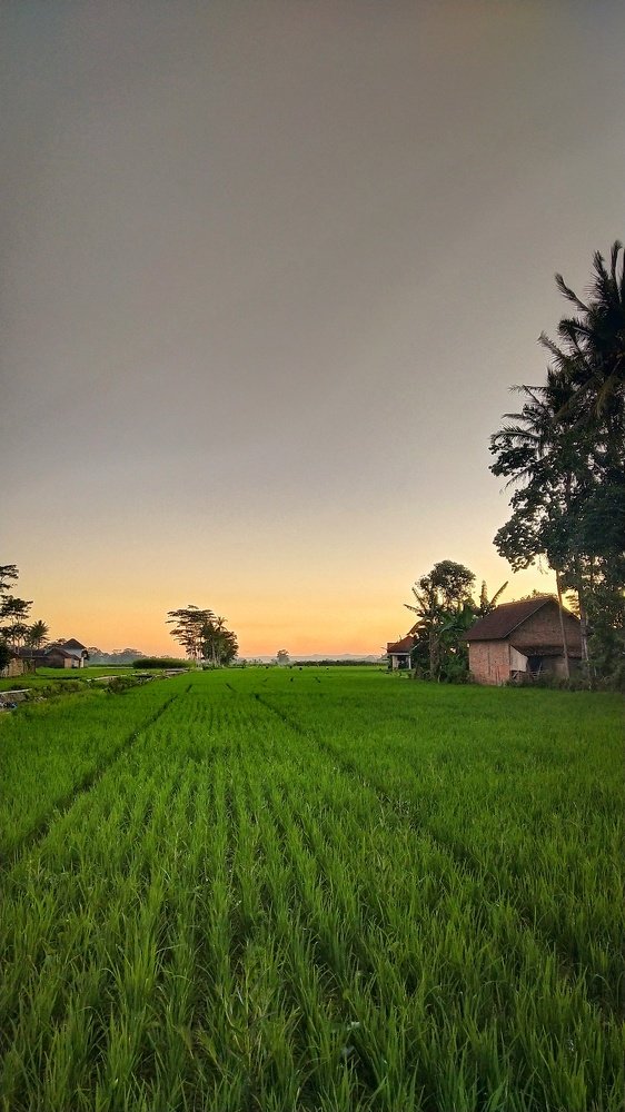 Photo #4295273