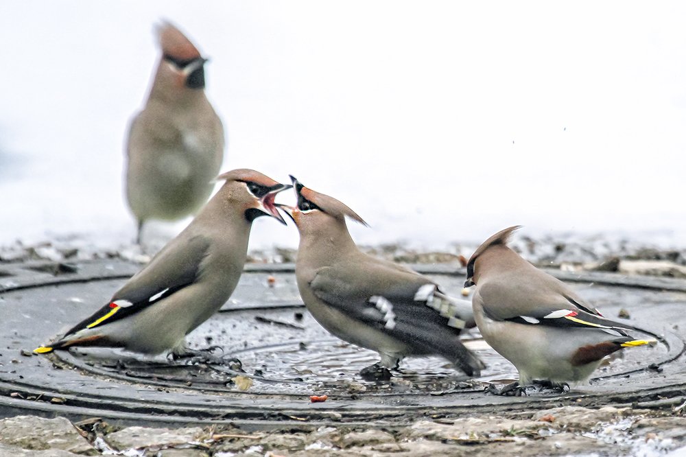 Не кричи на меня, я сегодня не пил!