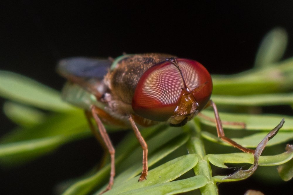 Photograph by Zinda Shaik Mohideen M