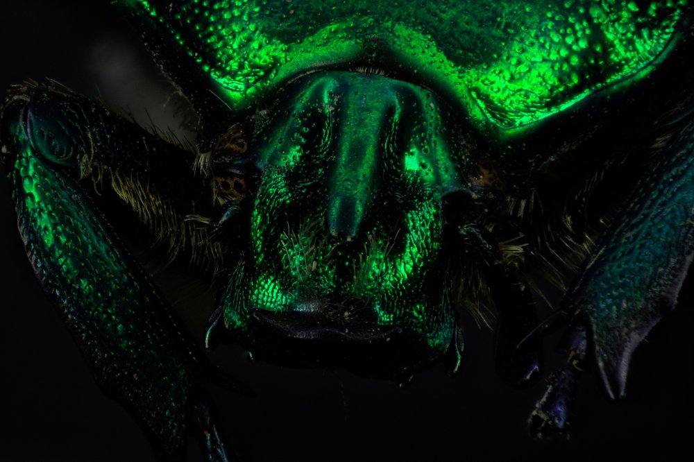 Photograph by Roberto De Leon