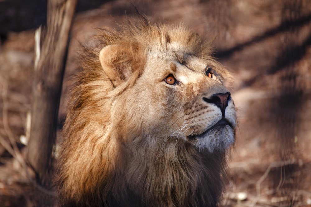 Photograph by Ксения Каминская