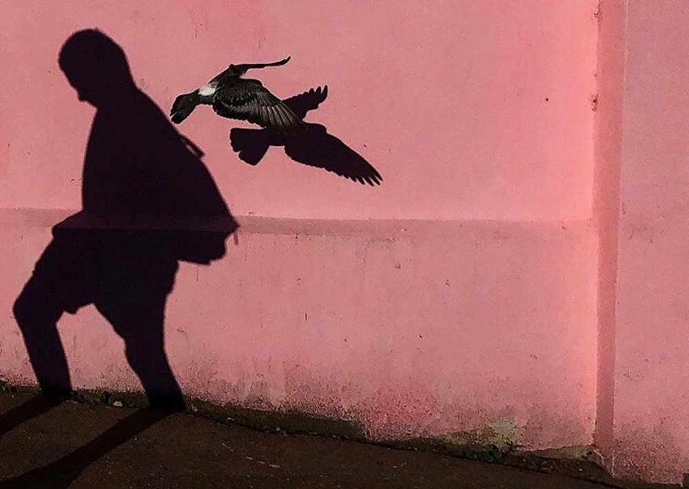 Photograph by Татьяна Синицына