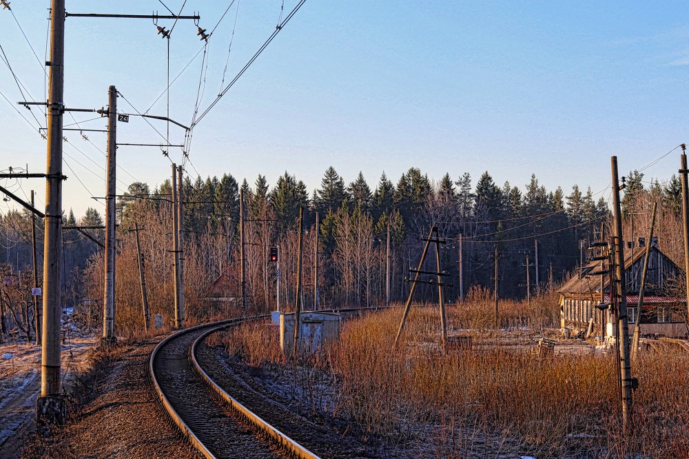 Photograph by Tatyana Semenova