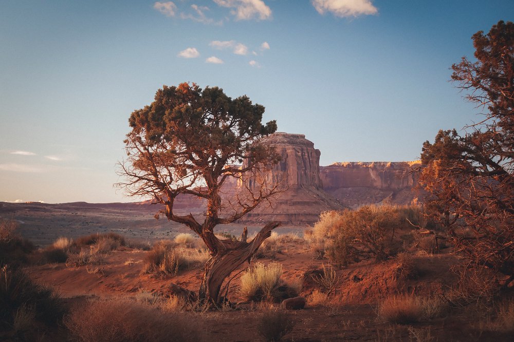 Photograph by Евгений Васенев