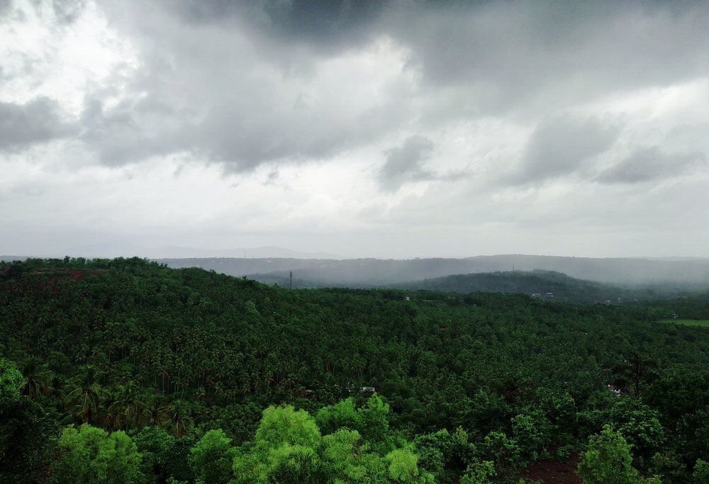 Green Planet