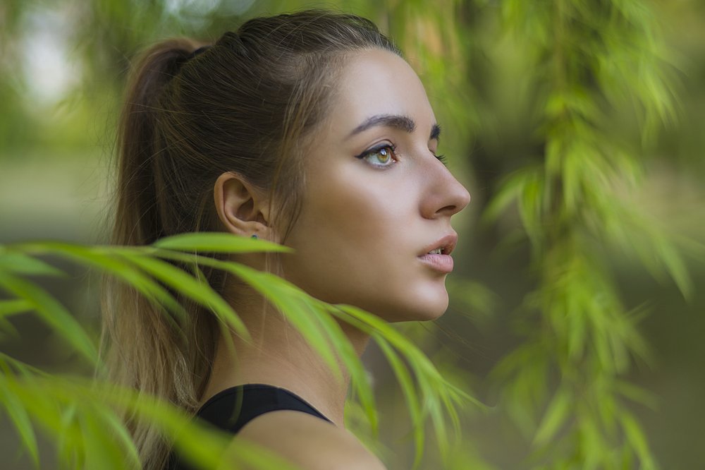 Photograph by Екатерина Аматуни