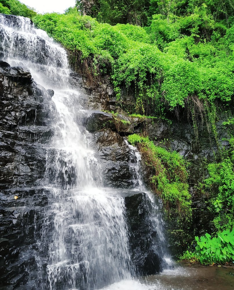 Nature Heals The Soul