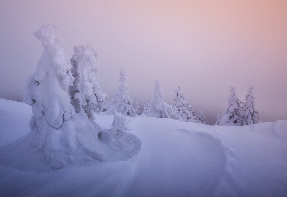 Photograph by Татьяна Бирюкова