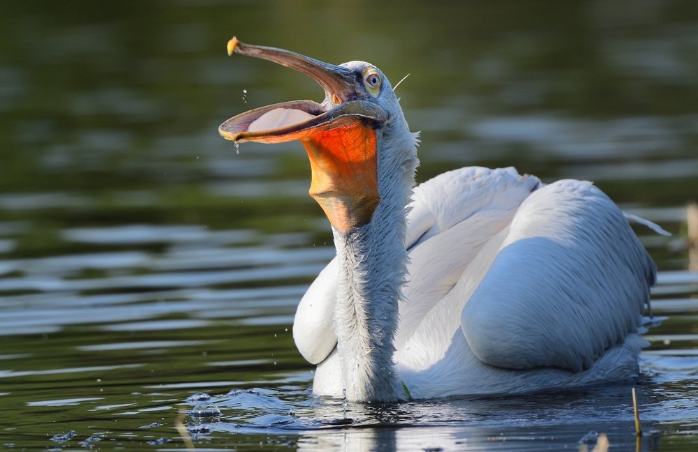 Photograph by Sanjay Solanki