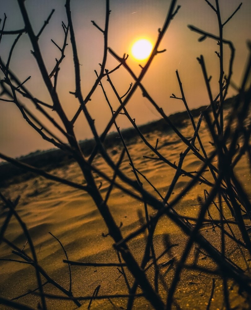 Photograph by Muhammad Rehman Rana