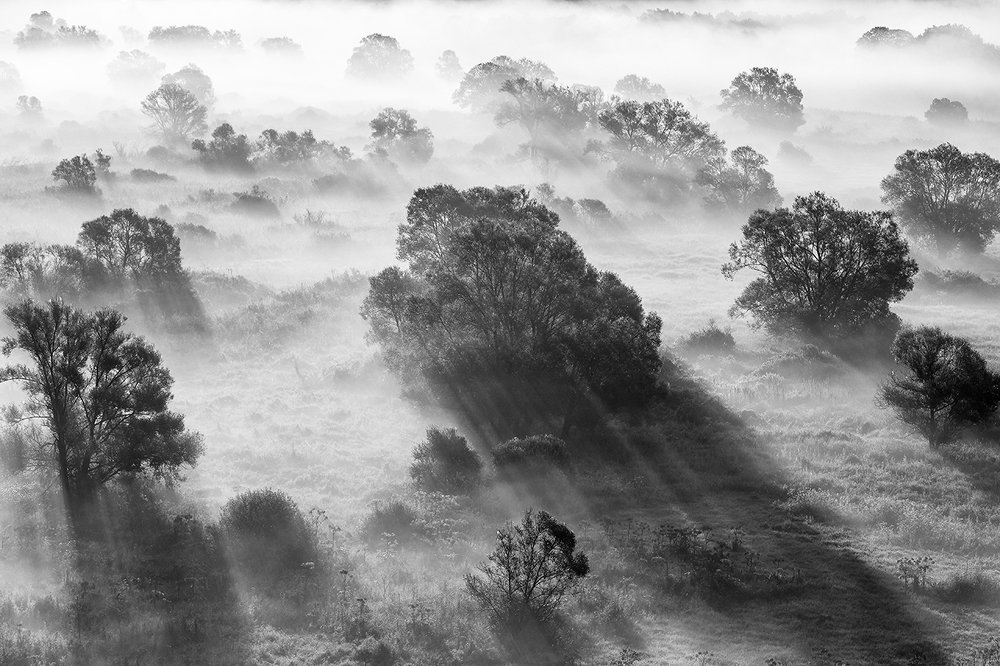 Летние туманы.