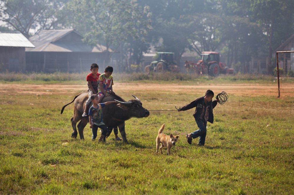 Photograph by Владимир Куцый (Vlad Kutsey)