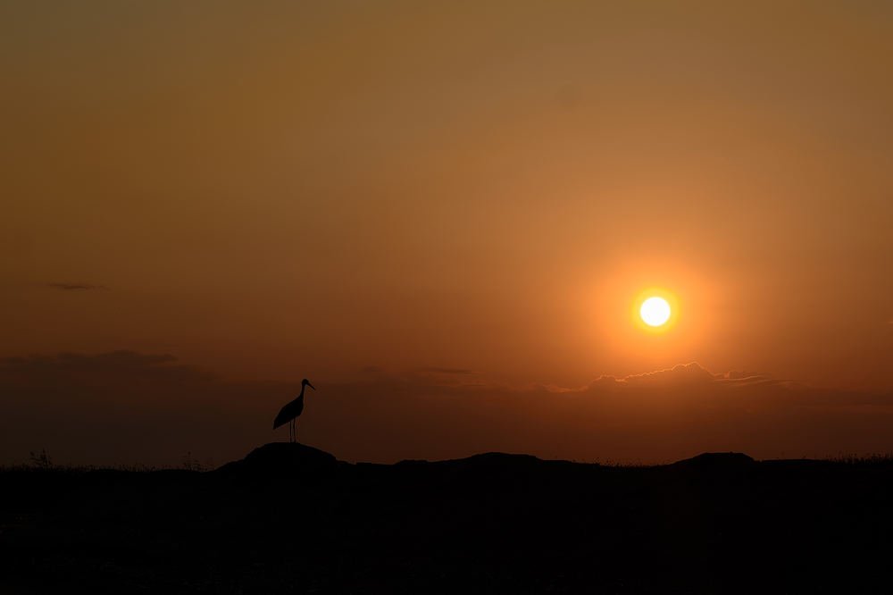 Photograph by Дмитрий Крестоварт