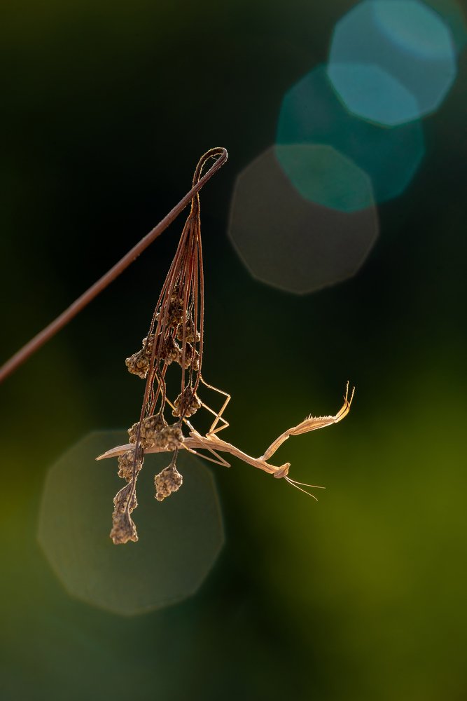 Photograph by Игорь ФУММ