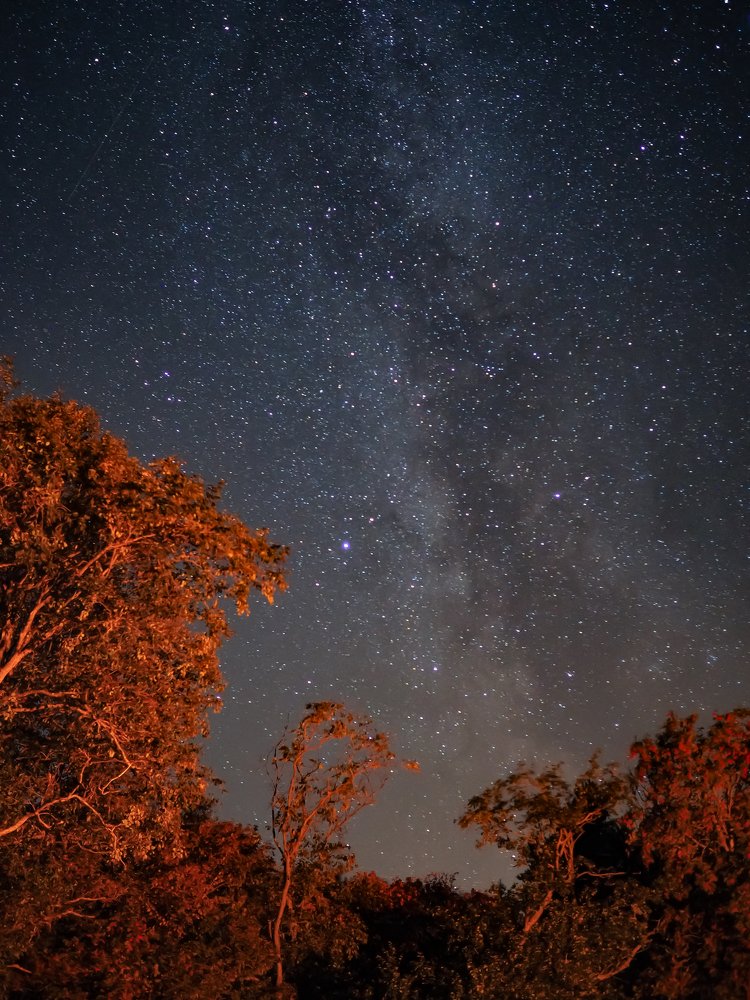 Photograph by Ольга Линк