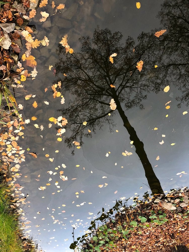 Photograph by Юлия Зубова