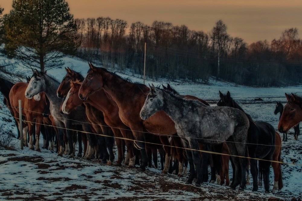 Photograph by Gaļina