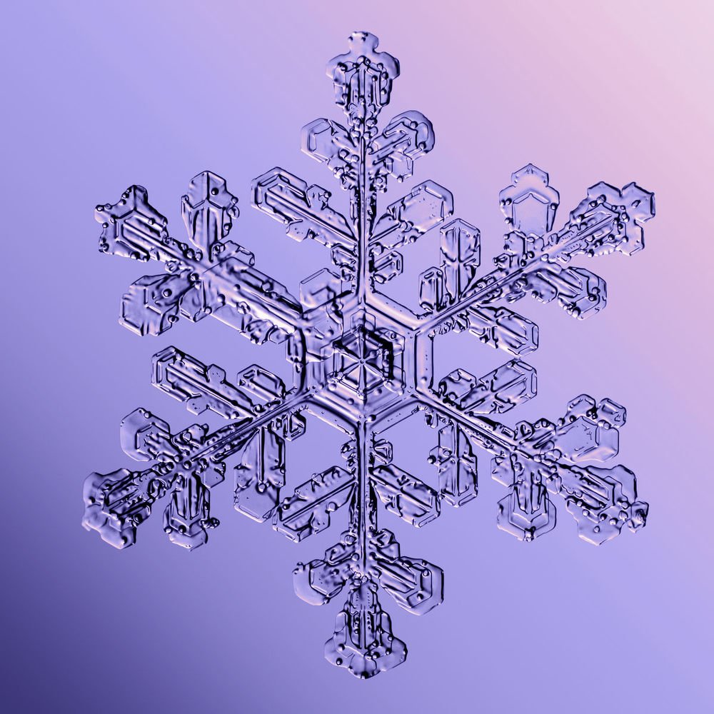 Photograph by Тимофей Черепанов