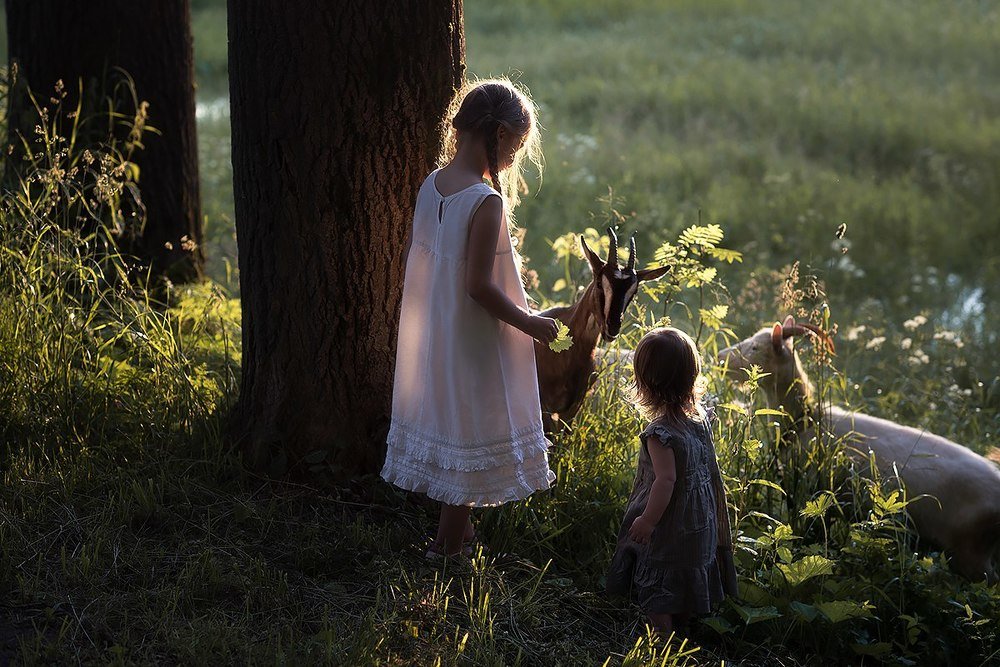 Photograph by Юлия Соловьева