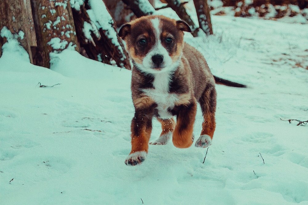 Photograph by Александр Кандалов