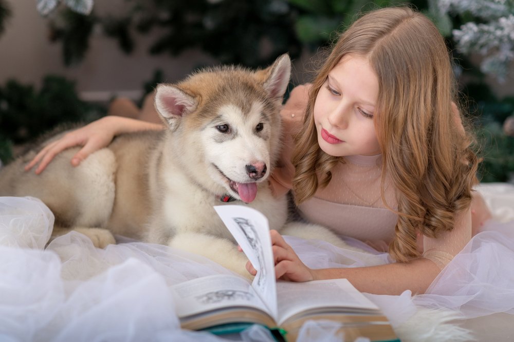 Photograph by Елена Бурцева