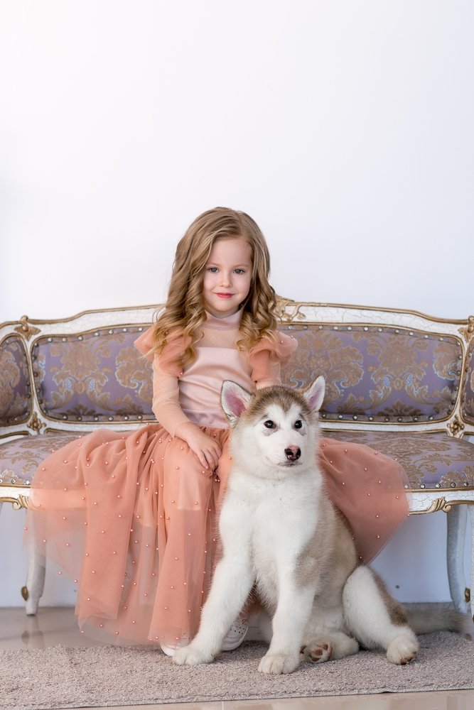 дети и собаки