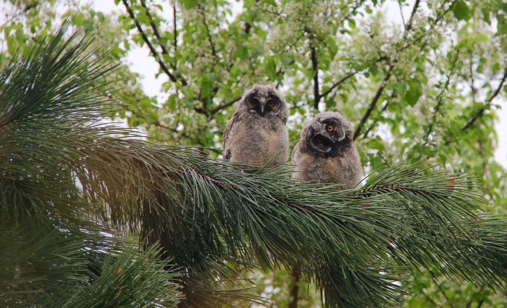 Photograph by Елена Ломова