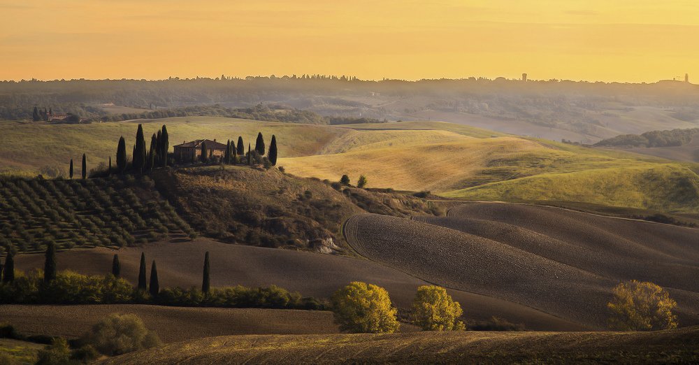 Photograph by Viktoria Bilka