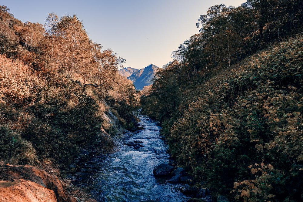 Photograph by Денис Давыдов