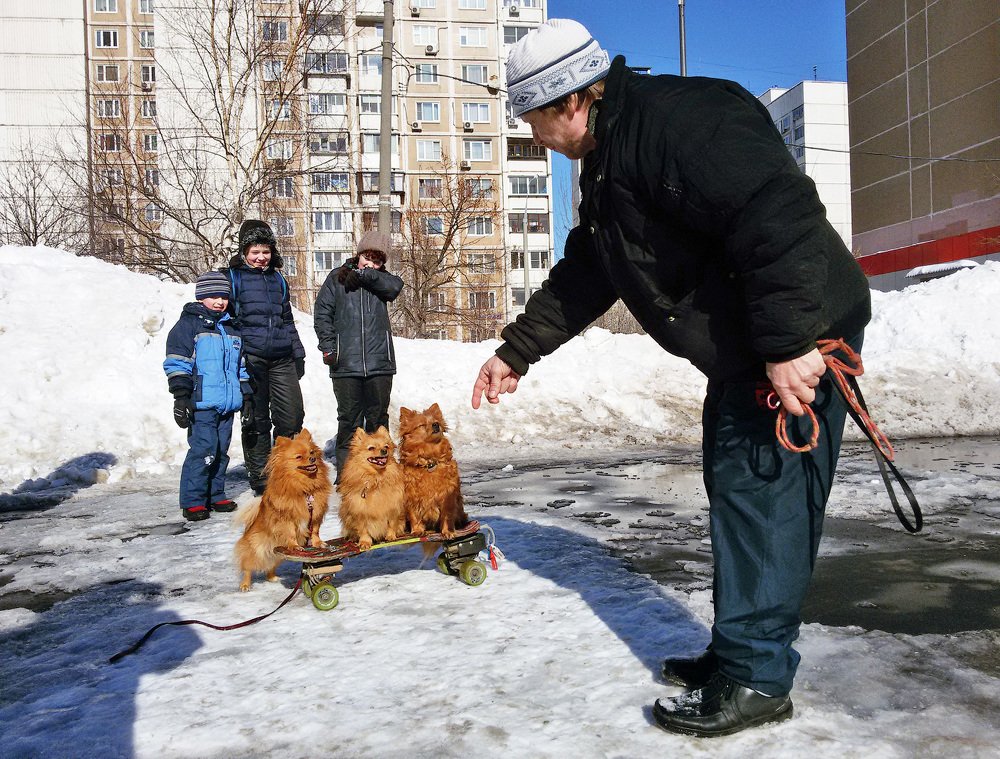 Photograph by Влад Сидорак