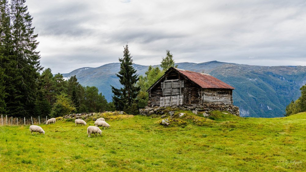 Photograph by Carlos Tojo