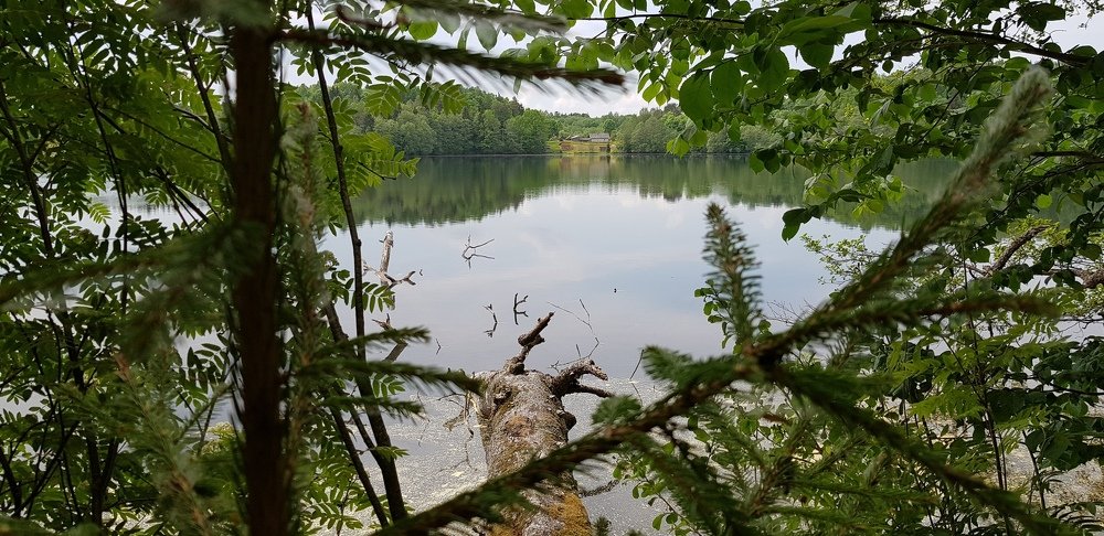 Photograph by Larisa Gella