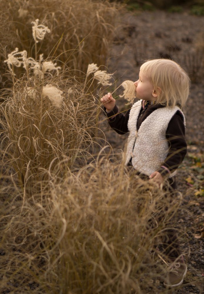 Photograph by Tanja`s Photoarts