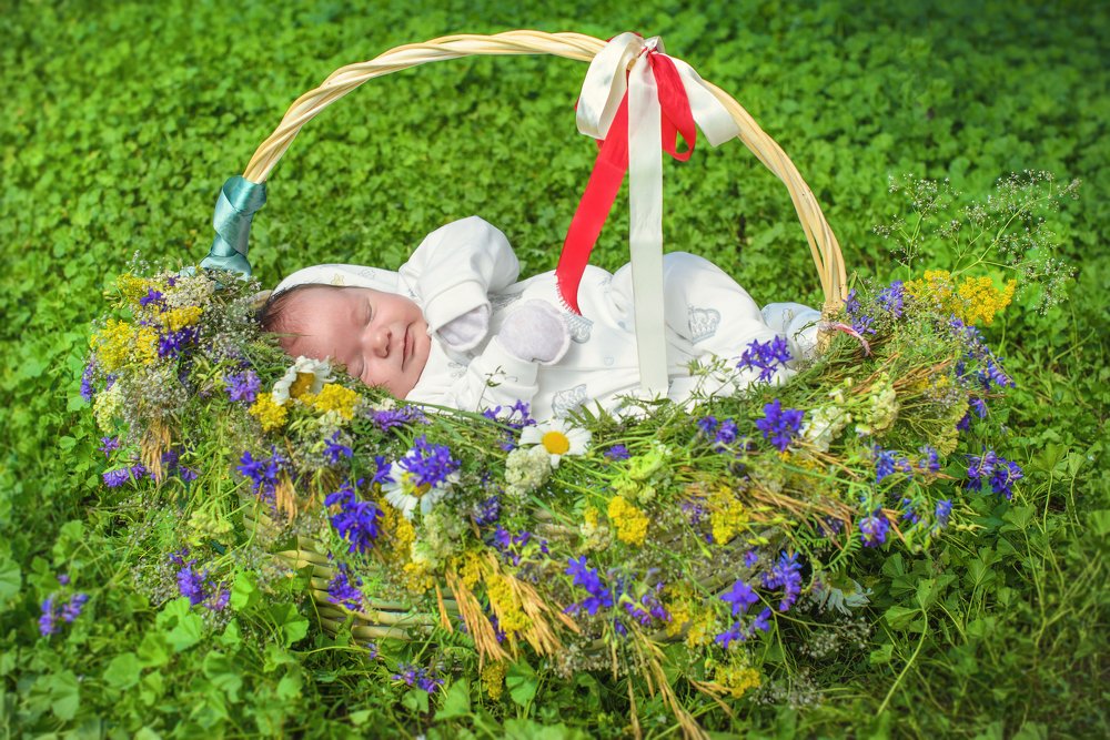 Подарок аиста