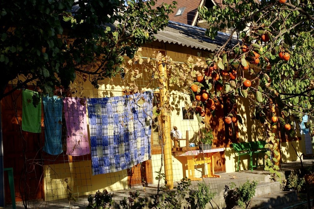 Photograph by Елена Ломова