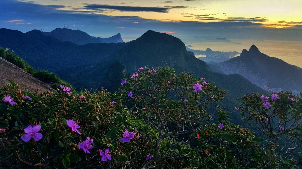 Photograph by Елена Савчук