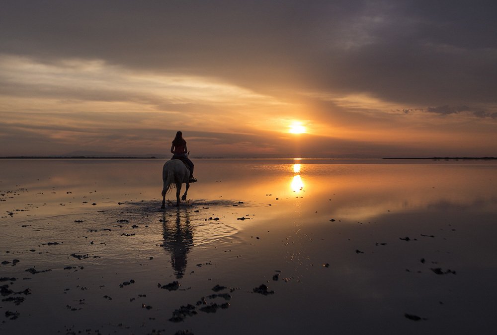 На встречу солнцу