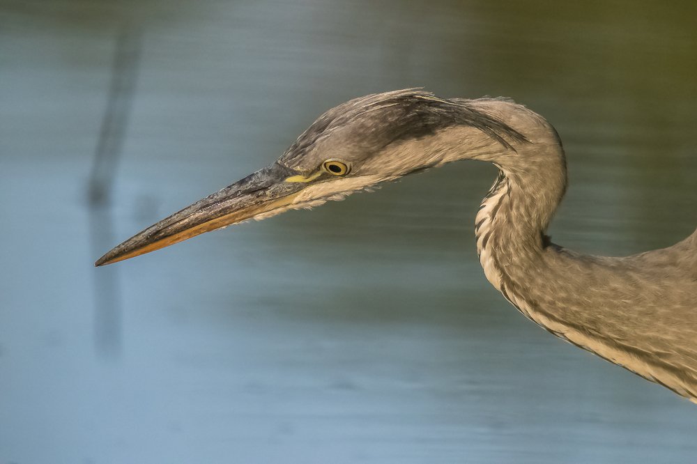 Photograph by Andrzej Wegner