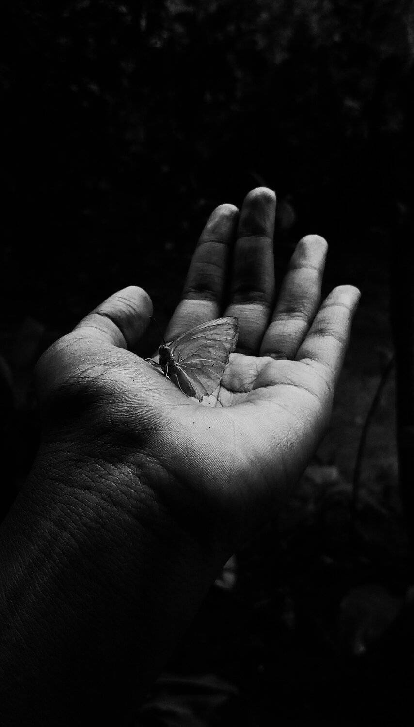 Wing
