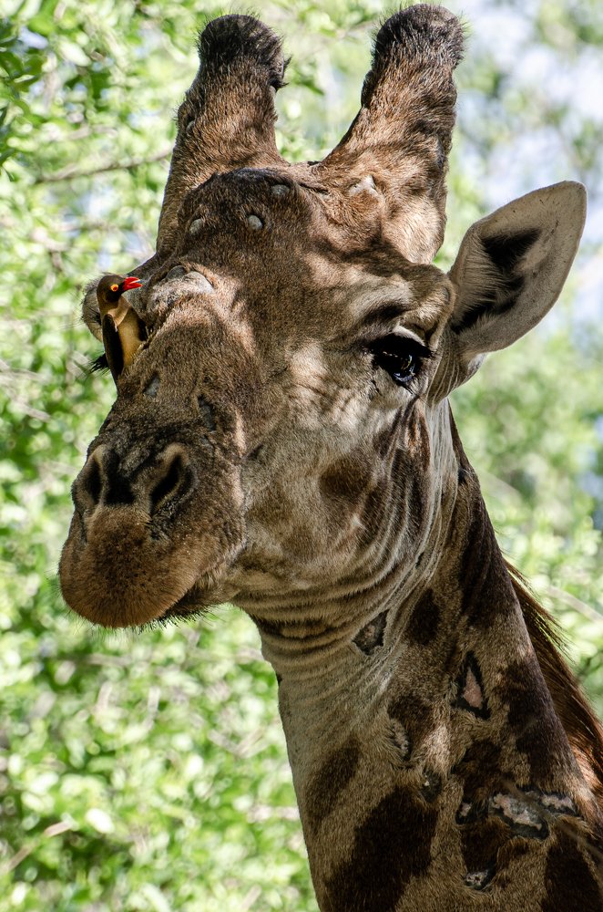 Photograph by Данил Луговой