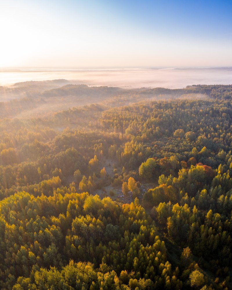 Фотография автора Margharyta