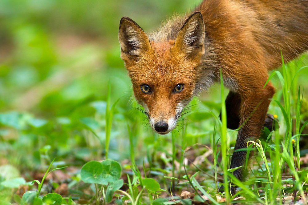 Photograph by Владимир Кирпичев